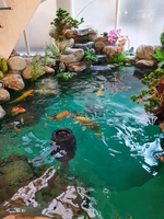 Ảnh số 1