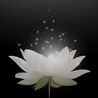 Nguyễn Đình Hậu