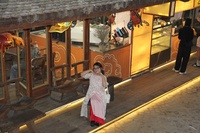 Vũ Bạch Dương