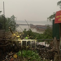 Thắng Đỗ