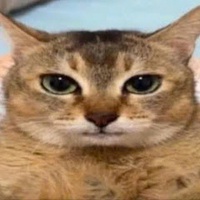 Tôi