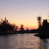 An Trần