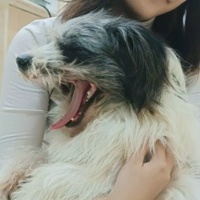 Phú Trọng