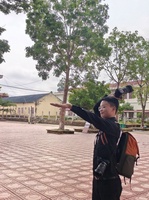 Phân