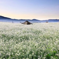 nhận biết cuộc sống