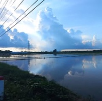 Trần Trí