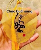 ThanhTea