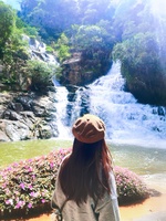 Nhu Y Truong