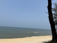 Lê Đạt