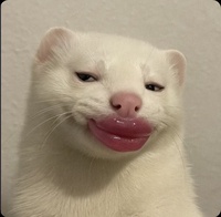 vừa ngủ vừa pass đồ