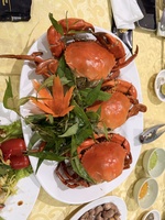 Cường Nguyễn