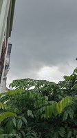Trung Nguyễn 