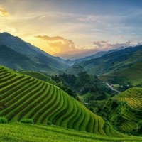 Quốc Bảo