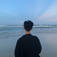 Truong Nguyen Viet