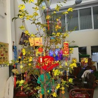 Văn Long