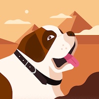 Việt Dũng Nguyễn