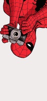 Spider Man