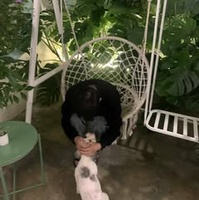 Vi Tuấn