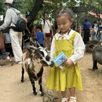 Vinh Nguyễn 