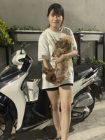 tuongche