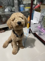 Bé sữa