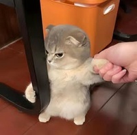 Bìnhh Minhh