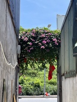 Trí 