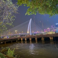 Gạo