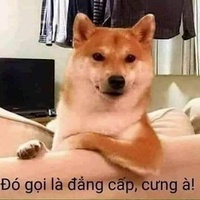 tuan anh