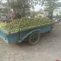 Khong Ten