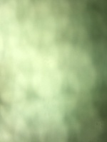 đời bạc