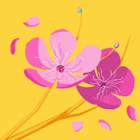 mnhật