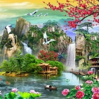 Cánh Chim Phiêu Bạt