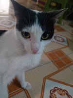 Nam Trần