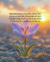 Phương Trần