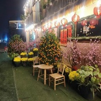 Đinh Phước Lộc