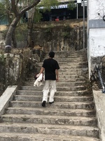 Trương Thanh Phúc