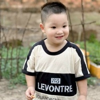 Bắp