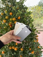 Nguyễn Quốc Việt