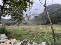 Phạm Gia Nghĩa