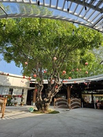 Nguyen