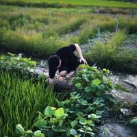 Phà Nguyễn