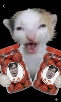 Phát Lý