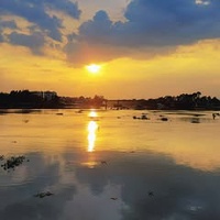 Hoàng Phương