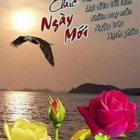 Đồng Minh Phúc
