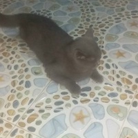 Nguyễn Thị Ngọc Trầm