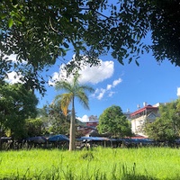 Mỹ Hạnh Phạm Thị