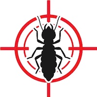 Diệt Mối Trường Sơn