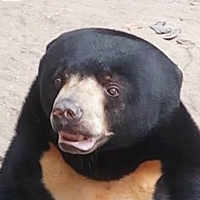 An Bình