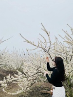 Ngọc Điện Máy Trả Góp